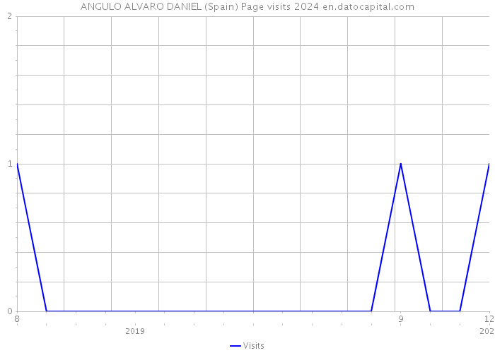 ANGULO ALVARO DANIEL (Spain) Page visits 2024 