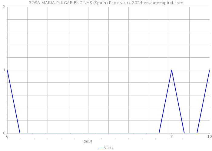 ROSA MARIA PULGAR ENCINAS (Spain) Page visits 2024 