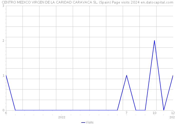 CENTRO MEDICO VIRGEN DE LA CARIDAD CARAVACA SL. (Spain) Page visits 2024 