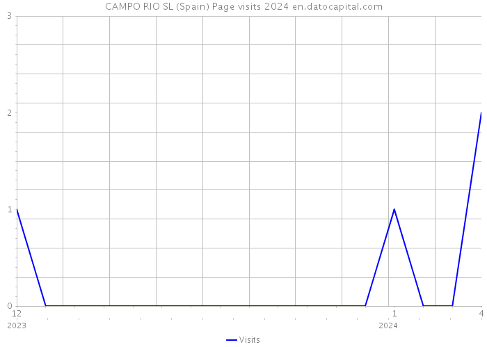 CAMPO RIO SL (Spain) Page visits 2024 