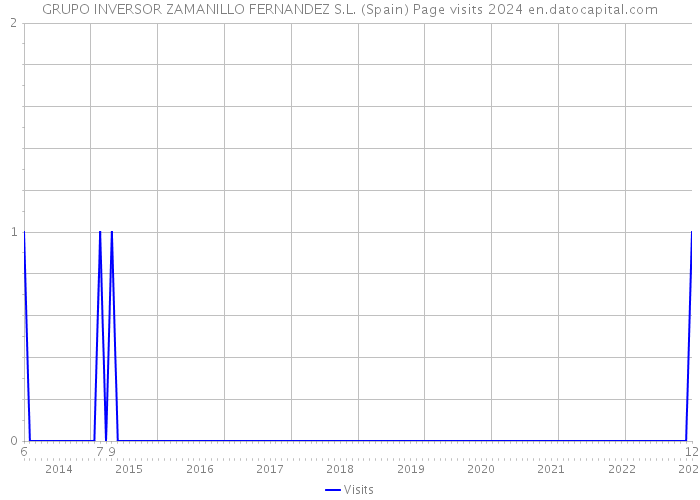 GRUPO INVERSOR ZAMANILLO FERNANDEZ S.L. (Spain) Page visits 2024 