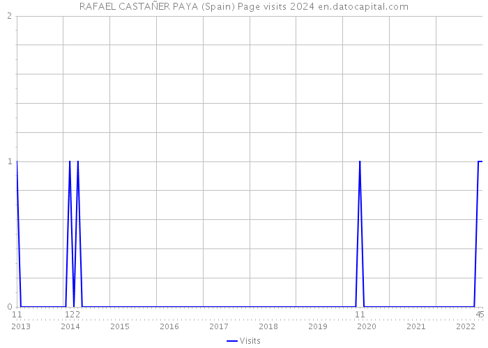 RAFAEL CASTAÑER PAYA (Spain) Page visits 2024 