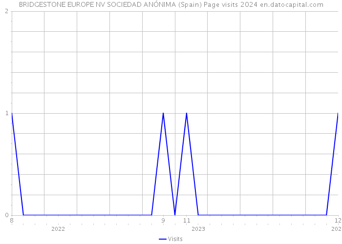 BRIDGESTONE EUROPE NV SOCIEDAD ANÓNIMA (Spain) Page visits 2024 