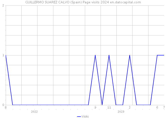 GUILLERMO SUAREZ CALVO (Spain) Page visits 2024 