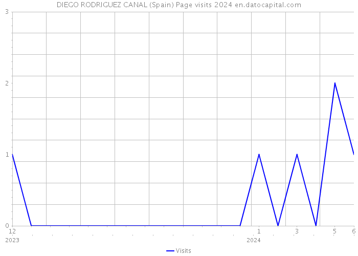 DIEGO RODRIGUEZ CANAL (Spain) Page visits 2024 