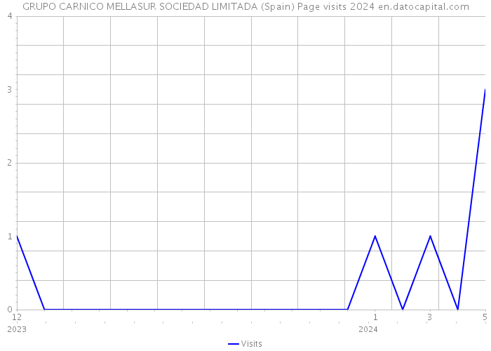 GRUPO CARNICO MELLASUR SOCIEDAD LIMITADA (Spain) Page visits 2024 