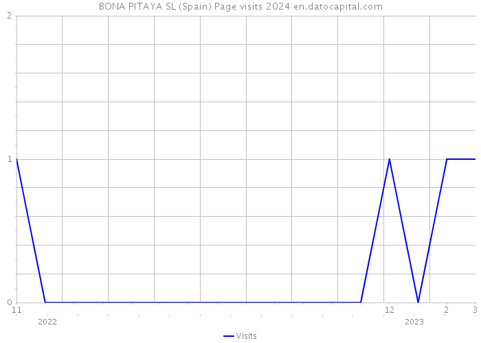 BONA PITAYA SL (Spain) Page visits 2024 