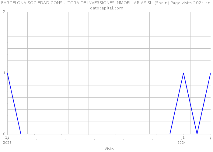 BARCELONA SOCIEDAD CONSULTORA DE INVERSIONES INMOBILIARIAS SL. (Spain) Page visits 2024 