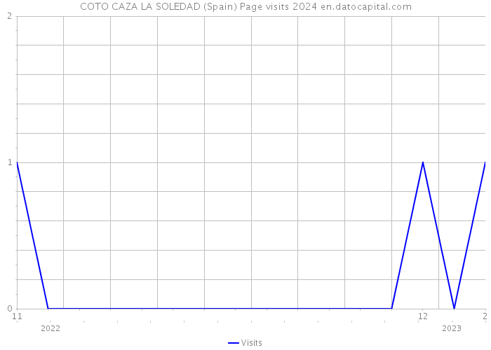 COTO CAZA LA SOLEDAD (Spain) Page visits 2024 