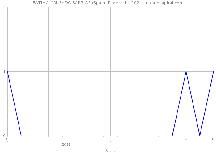 FATIMA CRUZADO BARRIOS (Spain) Page visits 2024 