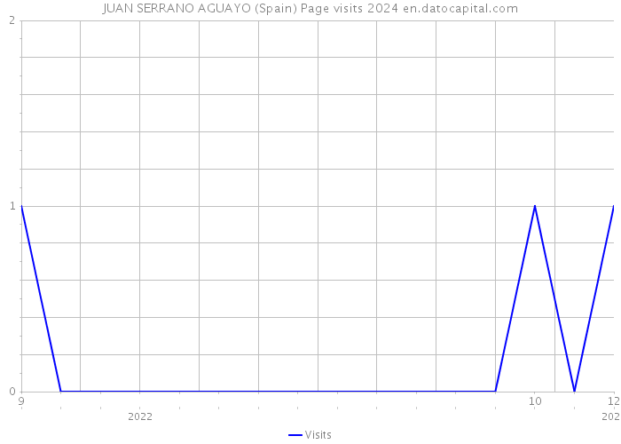 JUAN SERRANO AGUAYO (Spain) Page visits 2024 