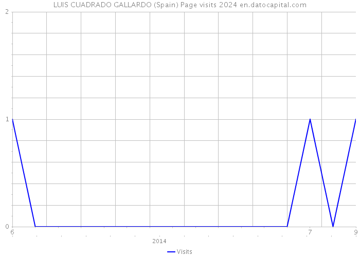 LUIS CUADRADO GALLARDO (Spain) Page visits 2024 