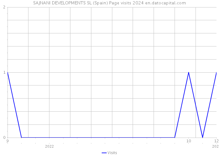 SAJNANI DEVELOPMENTS SL (Spain) Page visits 2024 
