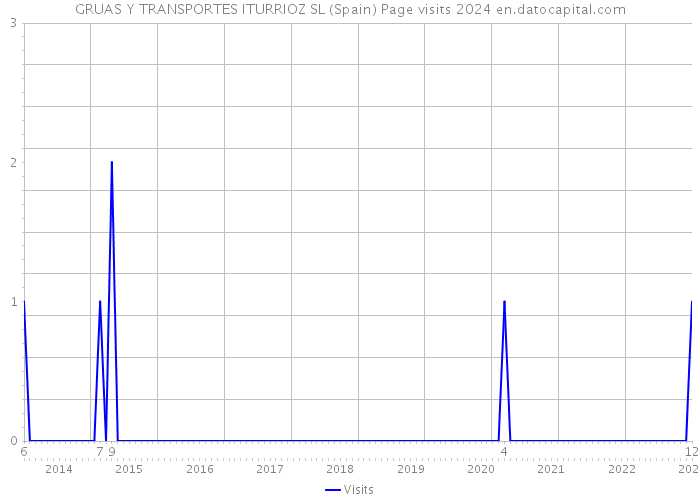 GRUAS Y TRANSPORTES ITURRIOZ SL (Spain) Page visits 2024 