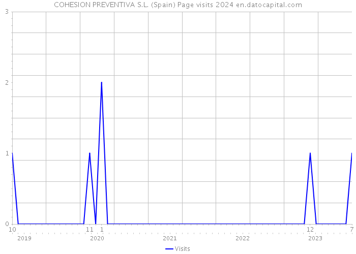 COHESION PREVENTIVA S.L. (Spain) Page visits 2024 