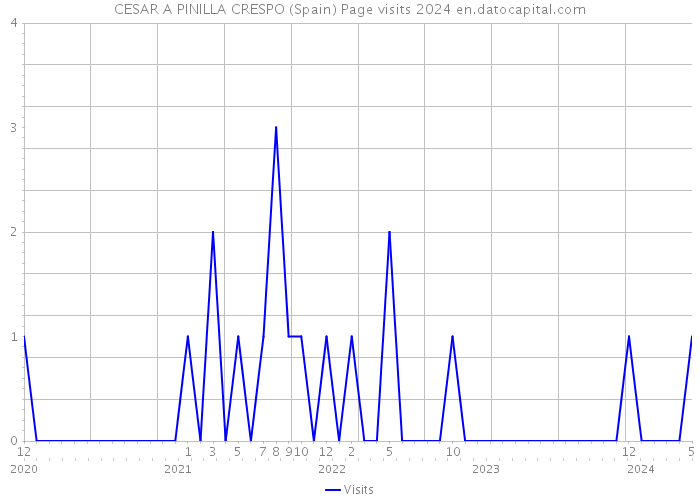 CESAR A PINILLA CRESPO (Spain) Page visits 2024 