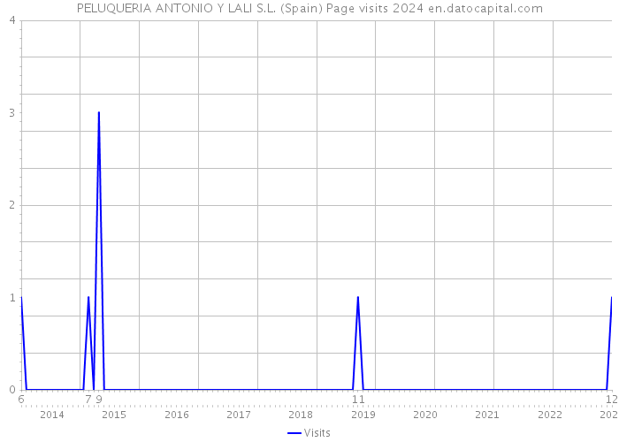 PELUQUERIA ANTONIO Y LALI S.L. (Spain) Page visits 2024 