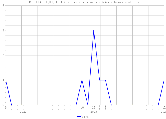 HOSPITALET JIU JITSU S.L (Spain) Page visits 2024 
