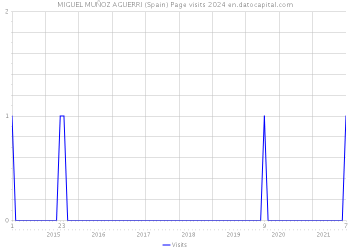 MIGUEL MUÑOZ AGUERRI (Spain) Page visits 2024 