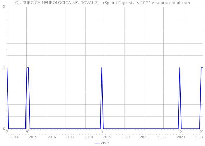 QUIRURGICA NEUROLOGICA NEUROVAL S.L. (Spain) Page visits 2024 