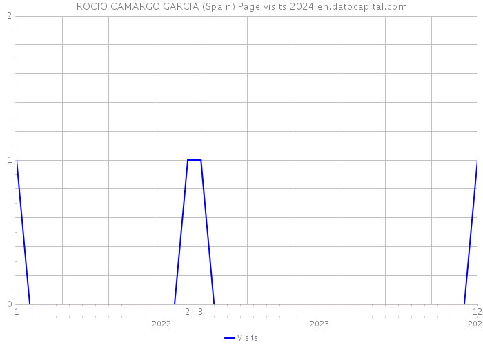 ROCIO CAMARGO GARCIA (Spain) Page visits 2024 