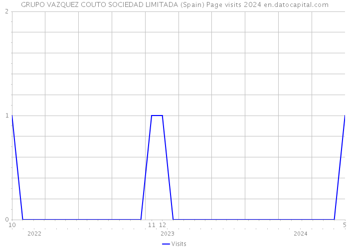 GRUPO VAZQUEZ COUTO SOCIEDAD LIMITADA (Spain) Page visits 2024 