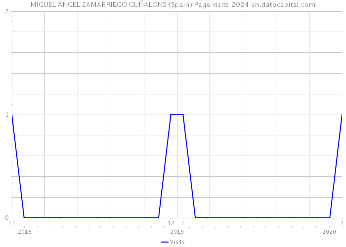 MIGUEL ANGEL ZAMARRIEGO GUÑALONS (Spain) Page visits 2024 