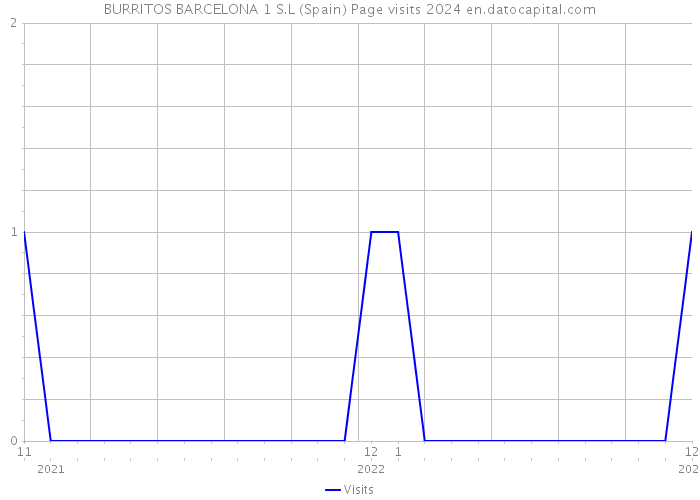 BURRITOS BARCELONA 1 S.L (Spain) Page visits 2024 