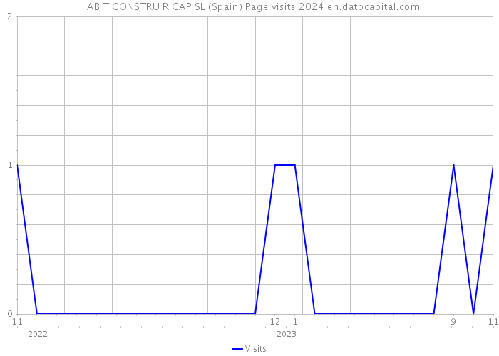HABIT CONSTRU RICAP SL (Spain) Page visits 2024 