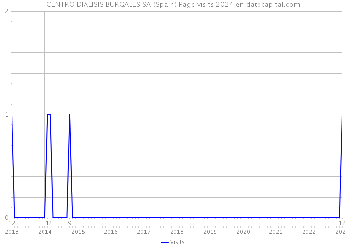 CENTRO DIALISIS BURGALES SA (Spain) Page visits 2024 