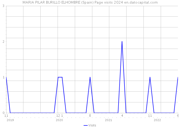 MARIA PILAR BURILLO ELHOMBRE (Spain) Page visits 2024 