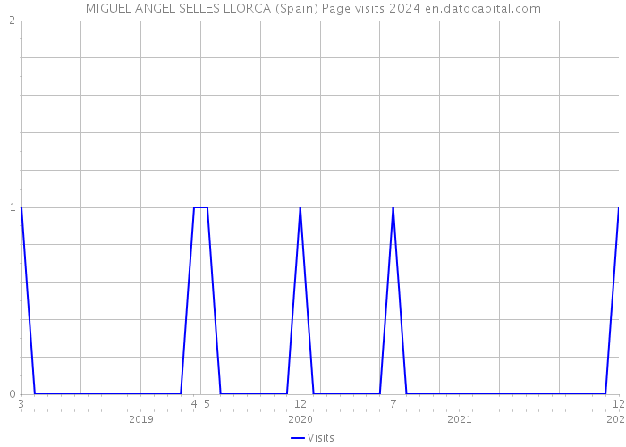 MIGUEL ANGEL SELLES LLORCA (Spain) Page visits 2024 