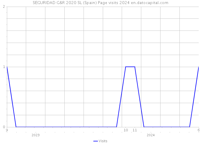 SEGURIDAD G&R 2020 SL (Spain) Page visits 2024 