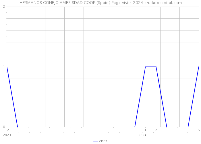 HERMANOS CONEJO AMEZ SDAD COOP (Spain) Page visits 2024 