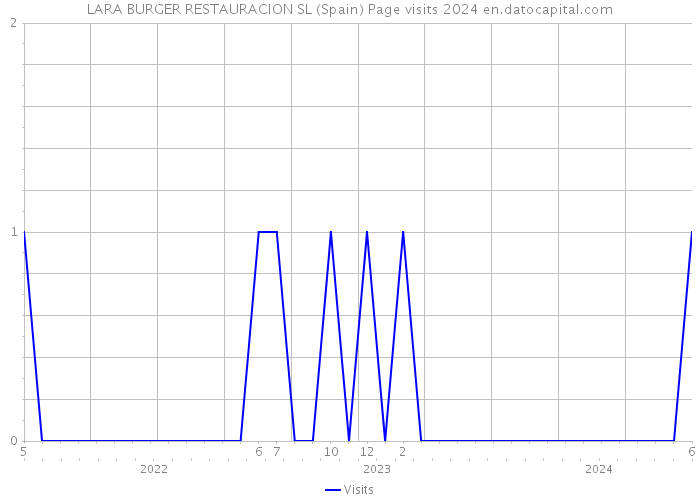 LARA BURGER RESTAURACION SL (Spain) Page visits 2024 