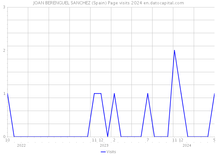 JOAN BERENGUEL SANCHEZ (Spain) Page visits 2024 