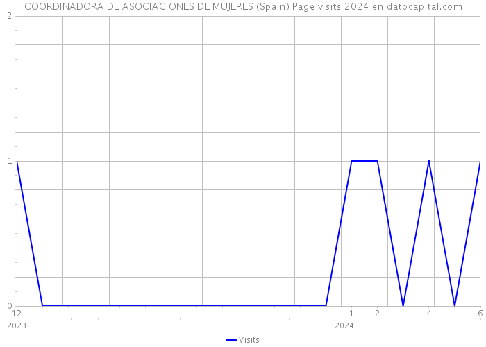 COORDINADORA DE ASOCIACIONES DE MUJERES (Spain) Page visits 2024 