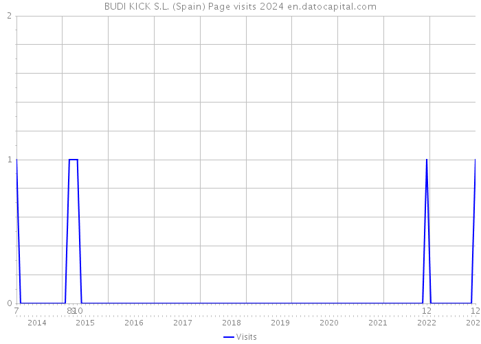BUDI KICK S.L. (Spain) Page visits 2024 