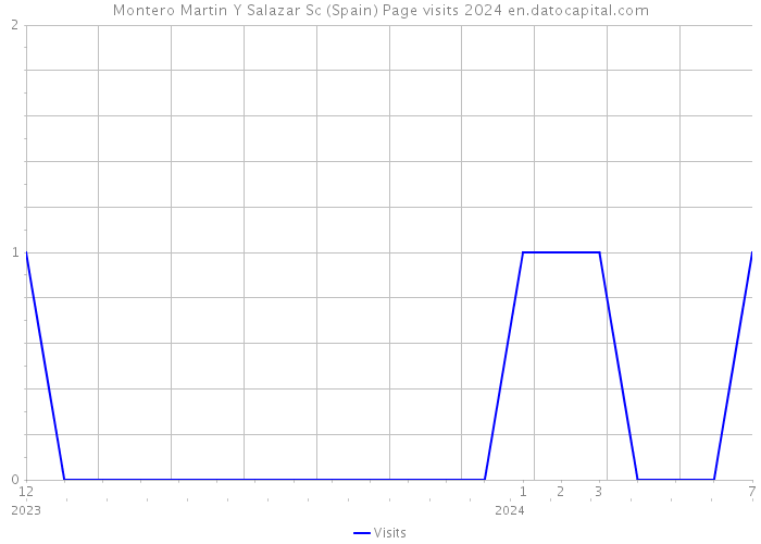 Montero Martin Y Salazar Sc (Spain) Page visits 2024 