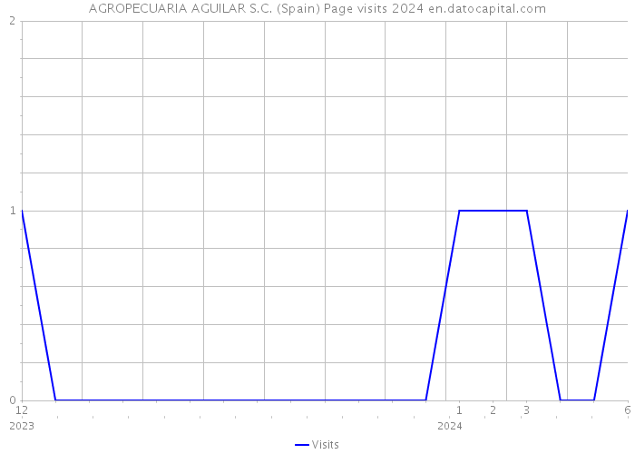 AGROPECUARIA AGUILAR S.C. (Spain) Page visits 2024 