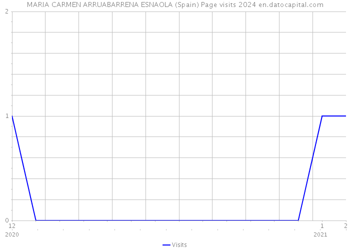 MARIA CARMEN ARRUABARRENA ESNAOLA (Spain) Page visits 2024 