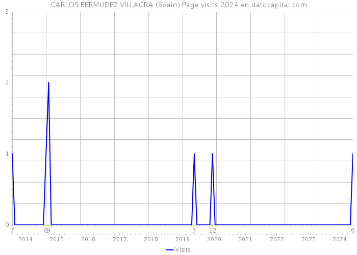 CARLOS BERMUDEZ VILLAGRA (Spain) Page visits 2024 