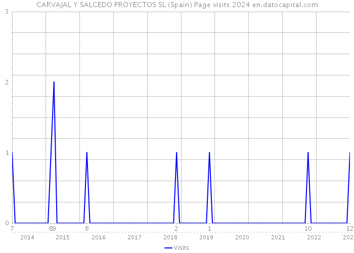 CARVAJAL Y SALCEDO PROYECTOS SL (Spain) Page visits 2024 
