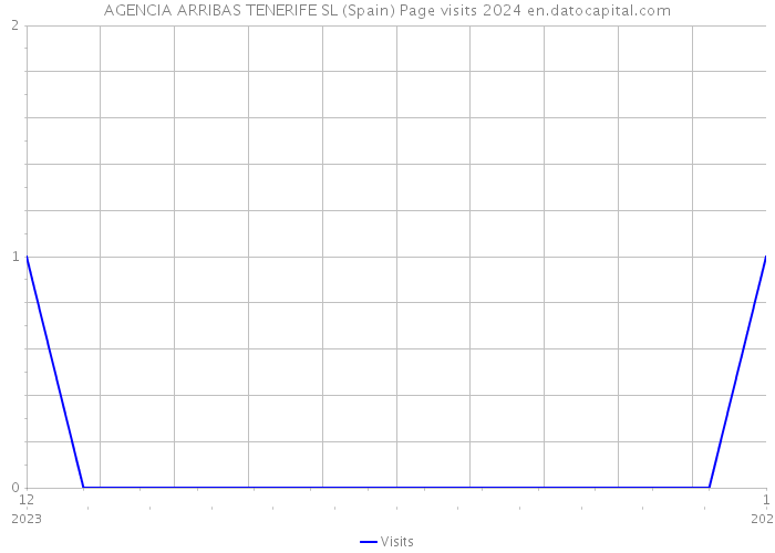 AGENCIA ARRIBAS TENERIFE SL (Spain) Page visits 2024 