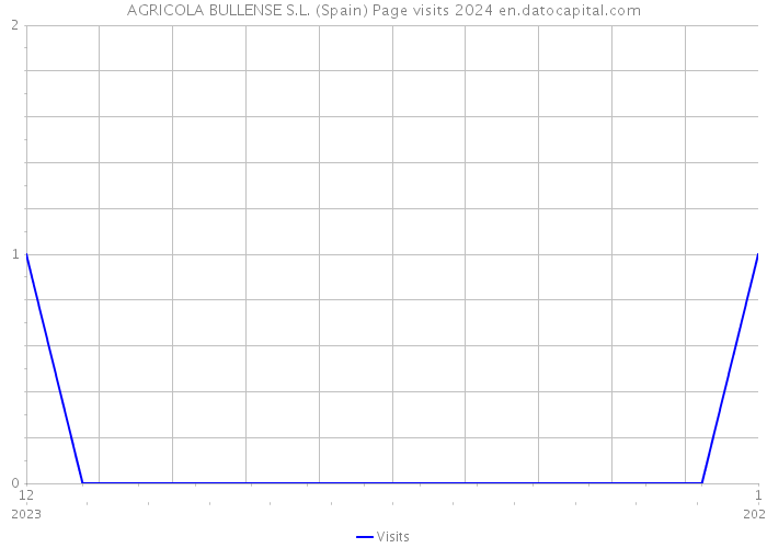 AGRICOLA BULLENSE S.L. (Spain) Page visits 2024 