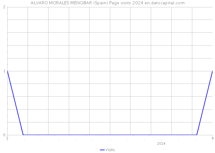 ALVARO MORALES MENGIBAR (Spain) Page visits 2024 