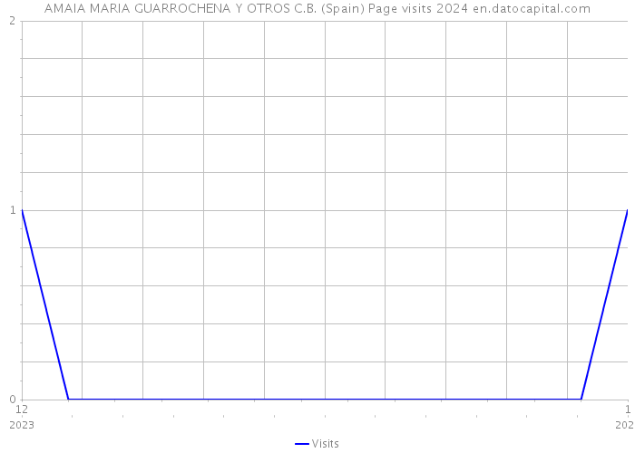 AMAIA MARIA GUARROCHENA Y OTROS C.B. (Spain) Page visits 2024 