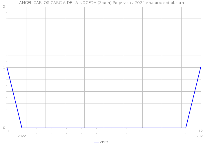 ANGEL CARLOS GARCIA DE LA NOCEDA (Spain) Page visits 2024 