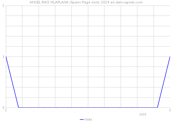 ANGEL MAS VILAPLANA (Spain) Page visits 2024 