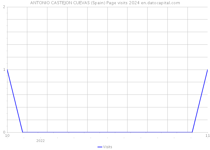 ANTONIO CASTEJON CUEVAS (Spain) Page visits 2024 